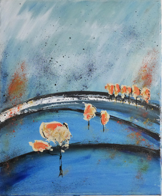 DÉBUT D'HIVER EN PROVENCE