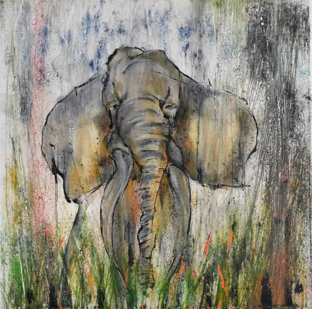 ÉLÉPHANT CALME ET SÉRÉNITÉ