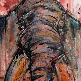 ÉLÉPHANT LA FORCE TRANQUILLE